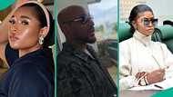 Lady points out worrisome observation about 2Baba Idibia's apology video to new wife Natasha