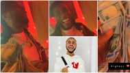 Burna Boy gifts Poco Lee several $100 bills for hyping him shortly after giving him N500k