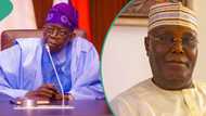 Why Tinubu would have failed ministerial screening if nominated, Atiku's aide reveals