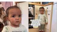 Little girl tramples woodhouse, hopes father can bring it back to life, video goes viral on TikTok