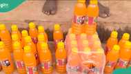 Police dismantle fake soft drinks factory in Anambra