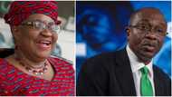 Nigeria Needs Okonjo Iweala, WTO's Help To Achieve Trade Goals, Says CBN's Godwin Emefiele