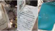 Man shows off his Nigerian passport acquired in 1980 in video, says he got it for N100 only, many react