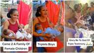 "Married into family of girls": Blessed mum celebrates giving birth to triplet boys, video melts hearts