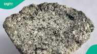 Scientists discover rocks believed to have fallen from Mercury to Sahara Desert, photos emerge