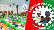 "Hall of shame": Labour Party releases list of 5 lawmakers who defected to APC