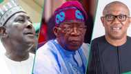 “Obi not Tinubu won 2023 presidential election” - Ex-SGF, Babachir Lawal