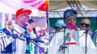 2023 elections: Thumb down for APC as campaign DG explains Tinubu's 'emi lo kan' in video