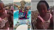 They should call this baby to order: Anger trail viral video of little Nigerian girl vibing hard to Zazu