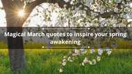 40 magical March quotes to inspire your spring awakening