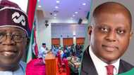 Tinubu asks Senate to confirm CBN governor Cardoso as MPC chairman