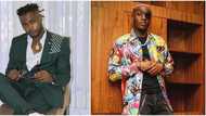 You are at fault: Ola Dips blames Ruger for lyrics that portrayed him to ladies as a bad guy