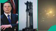 Elon Musk's Mars mission: How giant starship exploded within 9 minutes during 8th flight test