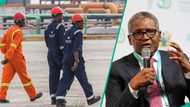 Dangote Group opens fresh job vacancies in cement, foods, and corporate units