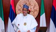 We need a young president: Reactions as Nigerians reveal the country's need ahead of 2023 election