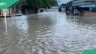 BREAKING: Heavy flooding in Maiduguri as Alau dambreaks down, Video emerges