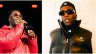 Live your life, nobody has seen al jannah/heaven and come back to say what’s next: Burna Boy gives life advice