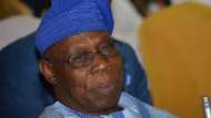 Obasanjo: Dalilin da yasa na hana Gani Adams kawo min ziyara