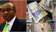 2023 election: Top Politicians with billions in cash move against Naira redesign, CBN reveals