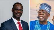Meet Taiwo Oyedele, the man Tinubu appointed to head Fiscal and Tax Reforms Committee