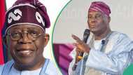 “Tinubu who attended CSU is same person”: Chicago State University tells Atiku’s lawyer