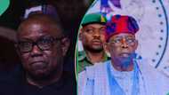 Revealed: How Peter Obi resisted pressure from Obidients to protest Tinubu's election victory