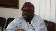 Breaking: FG accuses Dele Momodu of sharing fake news about herdsmen