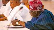 President Tinubu's FG makes fresh appointment, details emerge