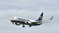 Ryanair says Boeing delivery delays costing it millions of ticket sales