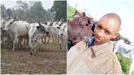 Nigerian man becomes a university lecturer after years of being cattle herder, shares his story