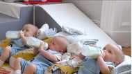 So adorable: Mum gives birth to rare set of triplets that occurs only once in 200M births, cute photos emerge