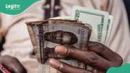 New exchange rate as naira reverses gain, crashes by over N90 against US dollar in 24 hours