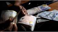 Nigerian CEO buys N231.7 million worth of shares to increase N3.49 billion fortune