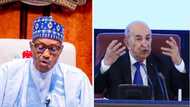 Algeria president announces N41,500 monthly allowance, free medical checkup for unemployed youths