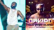 Davido's 'Omo Baba Olowo The Genesis' debut album with 17 tracks clocks 12 years, fans react