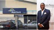 Embattled Skye Bank Chairman, Tunde Ayeni, Business Partner Fight Over Company, Police Take Side