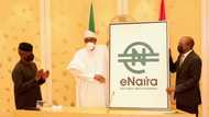 IMF warns CBN eNaira is not good enough for cross border transactions, lists work that needs to be done first