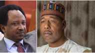 Ka bai wa malaman Najeriya kwangilar addu’a idan kana son tsaron kasar – Shehu Sani ga Zulum