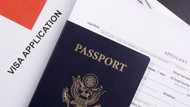 UK updates immigration policy for Nigerians applying for study and work visas, what you should know