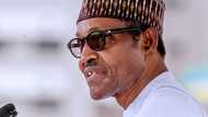 Yakamata masu hannu da shuni a Najeriya su yi mana adalci - Buhari