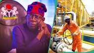 GHL, Conoil, 11 others mentioned as FG releases list of oil companies owing $456 million