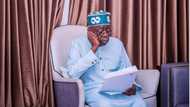 Is Nigeria's next Senate President and Speaker confirmed? Fresh report reveals Tinubu's choice