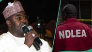 NDLEA currently recruiting massively? Agency speaks