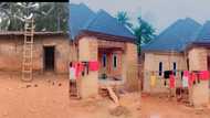 "God is great": Nigerian man makes it, breaks down old house in his father's compound, builds new one in video