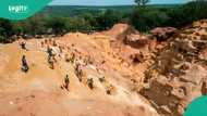 100 buried alive in gold mine landslide in CAR near border with Cameroon
