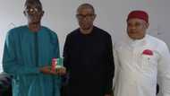 2023: Peter Obi’s flag bearer status in doubt as LP faction files lawsuit