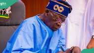 Good news: Tinubu’s govt begins payment of January salary