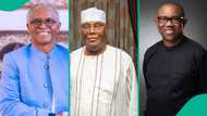 Peter Obi, Atiku, or El-Rufai? Who will ADC choose as presidential candidate? We asked ChatGPT