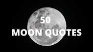 Top 50 moon quotes that will inspire you