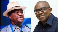 Why Obi, Wike meet again in Rivers, close associate shares powerful details